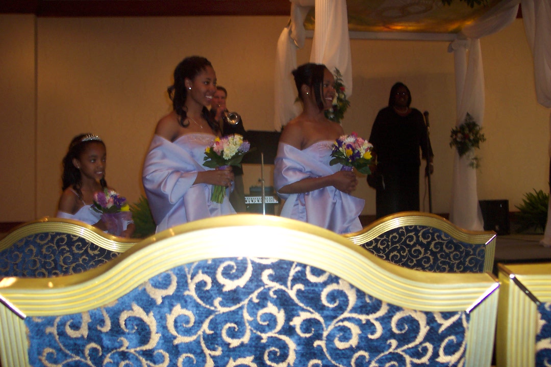 weddingparty1.jpg